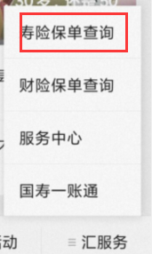 中国人寿如何查询电子保单？
