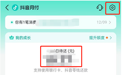 抖音月付可以关吗？